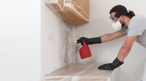 Professional Attic Mold Remediation technician working in Tewksbury, MA