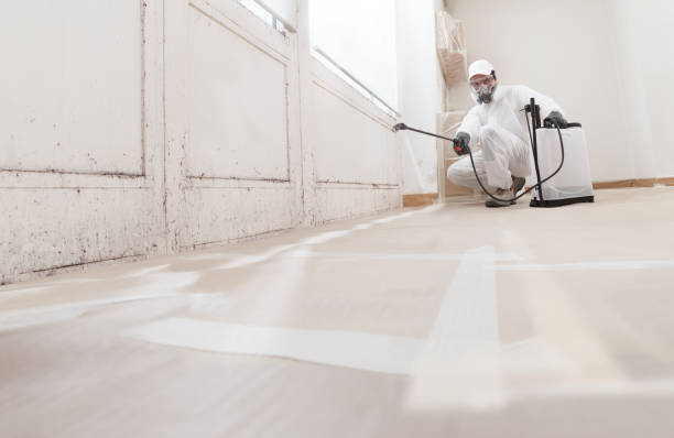 24/7 Emergency Attic Mold Remediation experts in Tewksbury, MA
